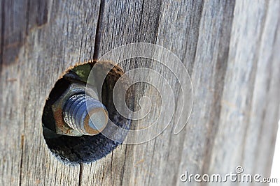 Old Wood and Bolt Stock Photo