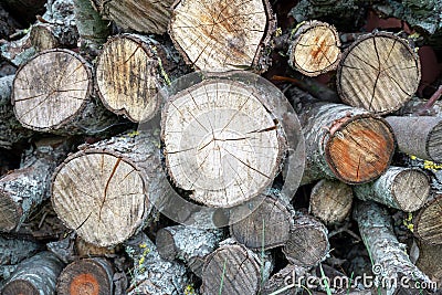 Old Wood burning stove. Firewood for furnace heating. Natural Firewood stacked and prepared for winter Pile of wood logs Stock Photo