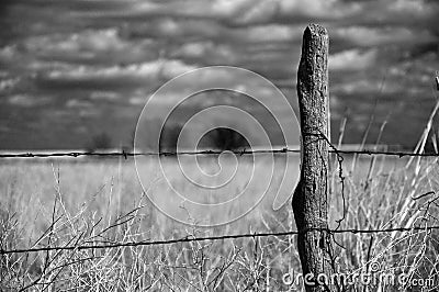 Old wood fence post Stock Photo