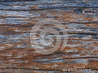 Old wood Stock Photo