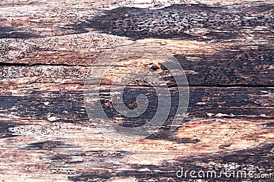 Old wood pattern and surface Stock Photo