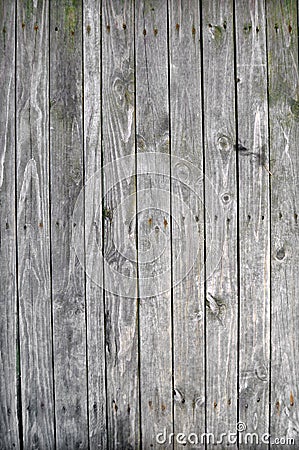 Old Wood Planks Stock Photo