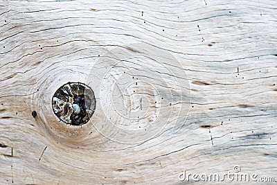 Old wood surface weathering wood background Stock Photo