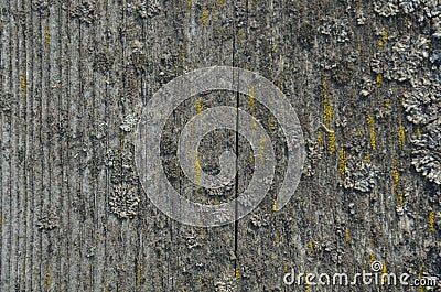 Old wooden table, abstract wood, top view of the table surface. Stock Photo