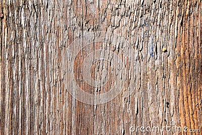 Old Wood Texture Background Stock Photo