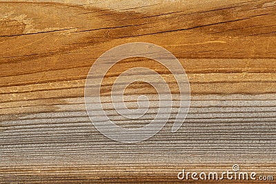 Old wood texture with color peel. Stock Photo