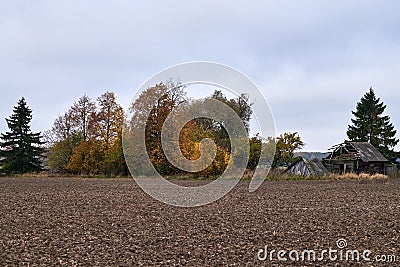 Old wooden abandoned farmstead in the middle of the field in Lithuania Stock Photo