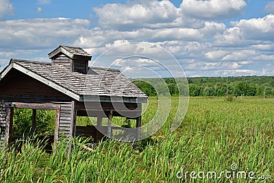 Old wooden abandonned gazebo in a marshland Stock Photo