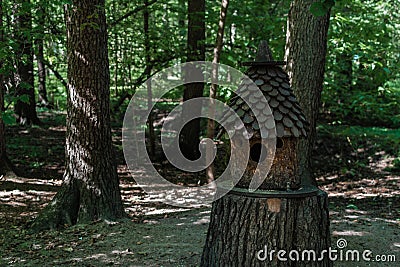 Old wooden animal house with round hollow of cylindrical shape in triangular roof. Bee hive stand among trees in green Stock Photo