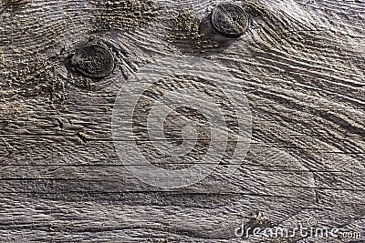 Old wooden background texture unpainted board Stock Photo