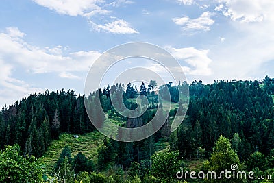 Old barn on the lawn in the Ukrainian mountains Stock Photo