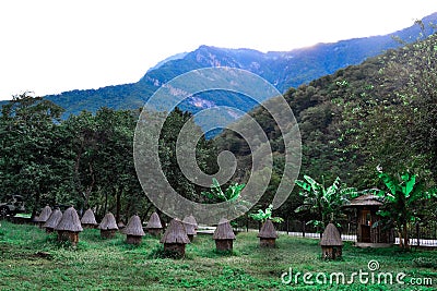 Old wooden bee hives of cylindrical shape in triangular roofs and caps stand among trees in green forest in mountains of Abkhazia Stock Photo