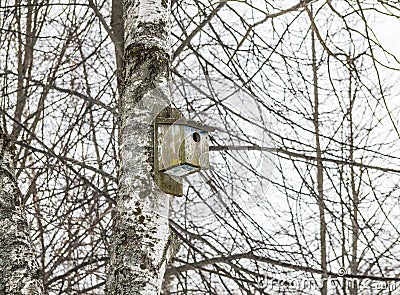 Old wooden birdhouse on a tree. On the background of branches Stock Photo