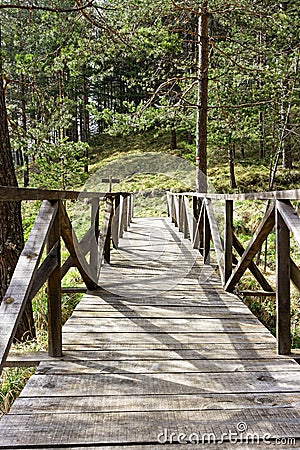 Old wooden bridge in nature Stock Photo