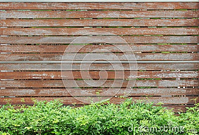 Old wooden brown fence wall Stock Photo