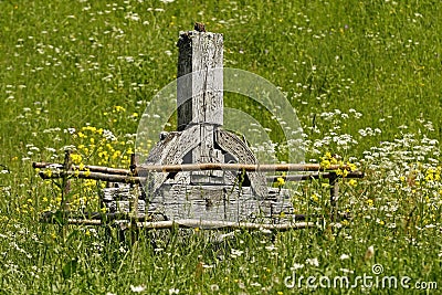 An old wooden Celtic cross in a green meadow Stock Photo