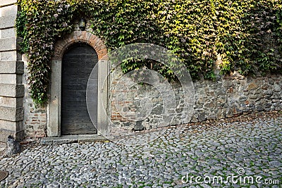 Wooden door in city wall in Monselice, Italy Stock Photo