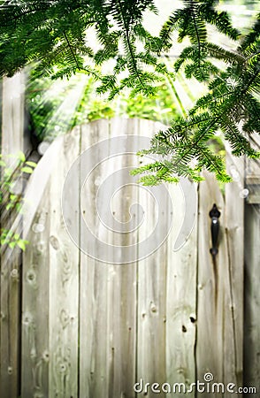 Old wooden door in the garden. Summer background. Stock Photo