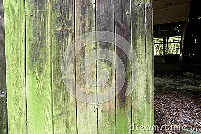 Old Wooden Door and Green Lichen Stock Photo