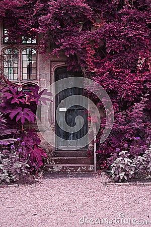 Old wooden door of stone house with alternate surreal colored la Stock Photo