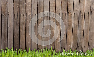 Old wooden fence and grass Stock Photo