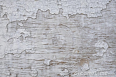 Old wooden gray shabby wall with cracked paint. rough surface texture Stock Photo
