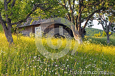 An old wooden house. Majestic spring sunny landscape. Garden with fruit trees, flowers, forest. Eco resort, relax for tourists. Stock Photo