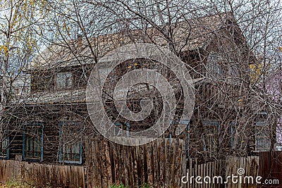 old wooden house in a thicket of branchy trees Stock Photo