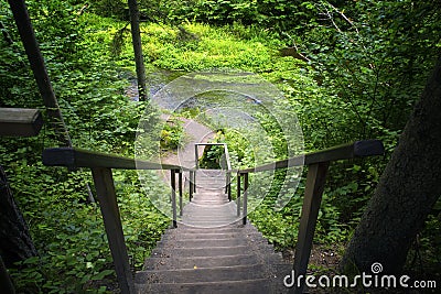 Old wooden ladder. Stock Photo