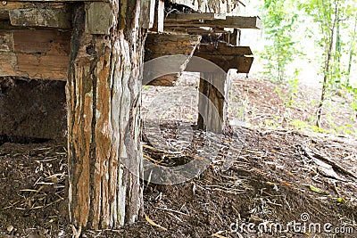 Old wooden poles Stock Photo