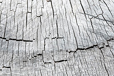 Old wooden texture of wood in the context Stock Photo