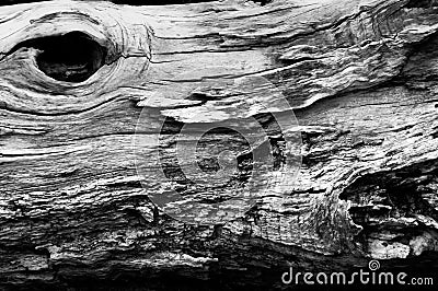 Old wooden trunk in black and white Stock Photo