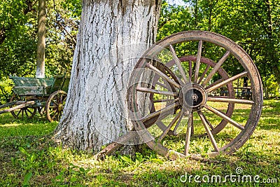 Old wooden wagon wheel Stock Photo