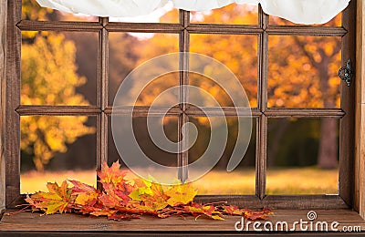 Old wooden window and view to autmn backyard with yellow falling leaves Stock Photo