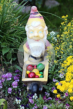 Older garden gnome driving colorful easter eggs in wheelbarrow construction cart surrounded with plants and flowers in local Stock Photo