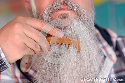 Older man combing his long grey beard Stock Photo