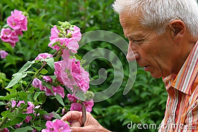 Older man gardening Stock Photo