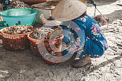 older vietnamese women with traditional hats clean scallops. fishing boats on sea near fishing village close to city Mui Ne, South Editorial Stock Photo