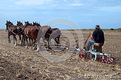 The Oldtimer Stock Photo