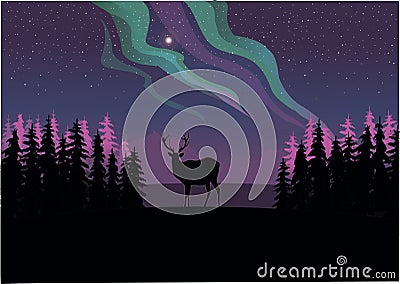 A lone deer staring at the Northern lights Stock Photo