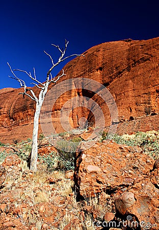 The Olgas, Northern Territory Editorial Stock Photo