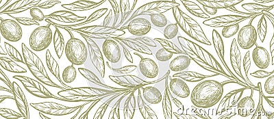 Oliva, green fruit, vintage pattern. Vector branch Vector Illustration