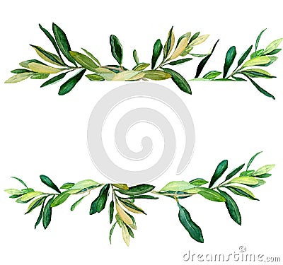 Olive branches behind white template Cartoon Illustration