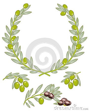 Olive crown Vector Illustration