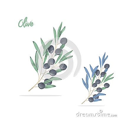 Olive digital clip art watercolor drawing flowers illustration similar on white background Cartoon Illustration