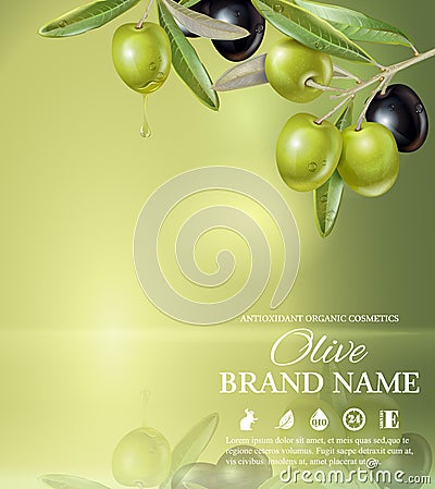 Olive green banner Vector Illustration