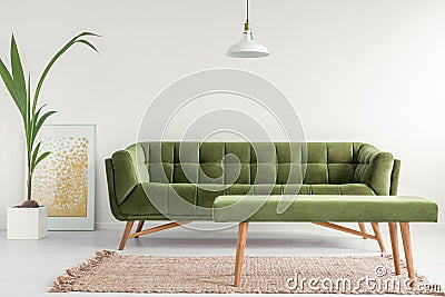 Olive green, stylish settee and an upholstered bench in a bright living room interior with white walls and a plant. Real photo. Stock Photo