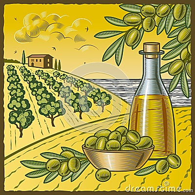 Olive harvest Vector Illustration