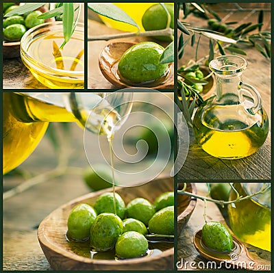 Olive harvest collage Stock Photo