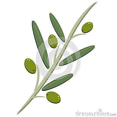 Olive illustration Vector Illustration